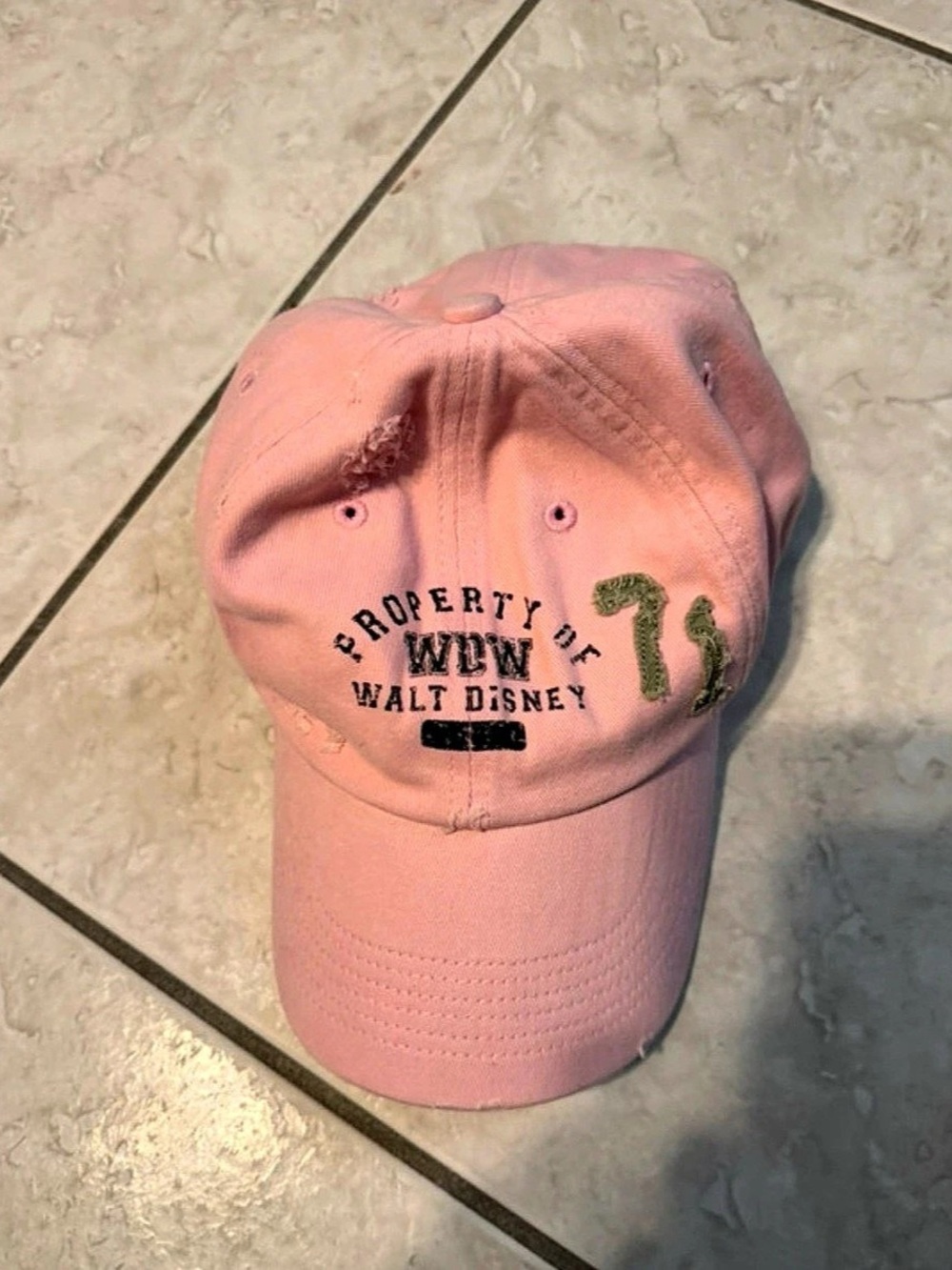 Disney Robert Williams Walt Disney World '71 cap Pink Embroidered Cap NWT